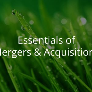 Essentials of Mergers & Acquisitions Module